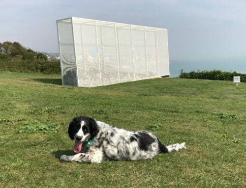 Folkestone Triennial 2017 – Wall – Artist Alex Hartley