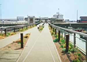 Folkestone Harbour Archtectural case study for Martello